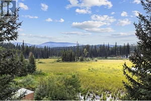 9245 Paradise Road Lot# Lot 34 - Photo 3