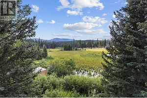 9245 Paradise Road Lot# Lot 34 - Photo 34