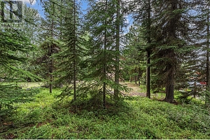 9245 Paradise Road Lot# Lot 34 - Photo 54