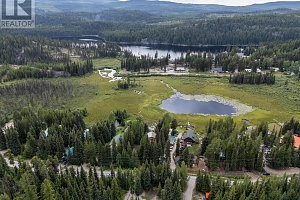 9245 Paradise Road Lot# Lot 34 - Photo 61