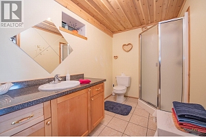 296 Trinity Valley Road - Photo 32