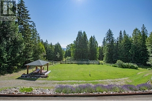 296 Trinity Valley Road - Photo 6