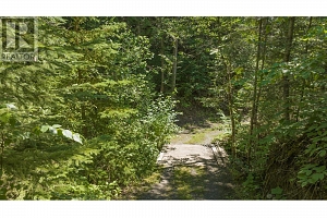 296 Trinity Valley Road - Photo 85