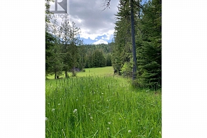296 Trinity Valley Road - Photo 88