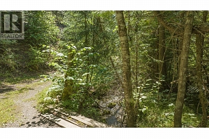 296 Trinity Valley Road - Photo 9