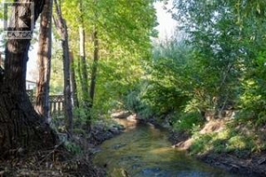 2009-2011 Richter Street - Photo 56