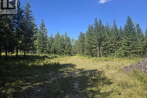 3680 Miller Lake FSR Forest - Photo 10