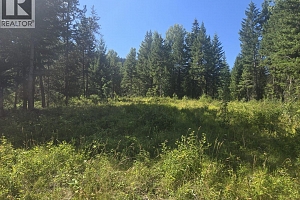 3680 Miller Lake FSR Forest - Photo 11