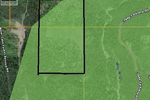 3680 Miller Lake FSR Forest - Photo 12