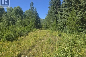 3680 Miller Lake FSR Forest - Photo 13