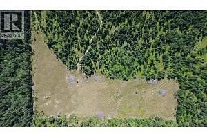 3680 Miller Lake FSR Forest - Photo 14
