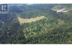 3680 Miller Lake FSR Forest - Photo 15