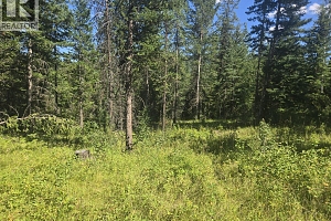 3680 Miller Lake FSR Forest - Photo 16