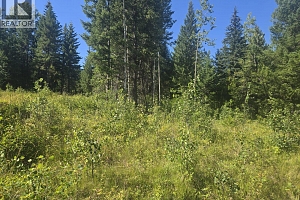 3680 Miller Lake FSR Forest - Photo 17