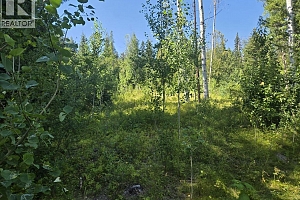 3680 Miller Lake FSR Forest - Photo 18