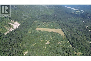 3680 Miller Lake FSR Forest - Photo 19