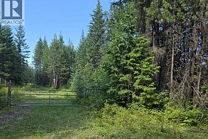 3680 Miller Lake FSR Forest - Photo 2