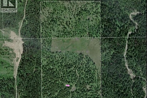 3680 Miller Lake FSR Forest - Photo 20