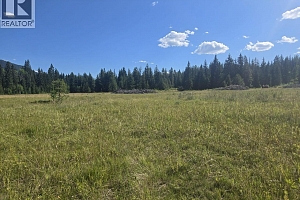 3680 Miller Lake FSR Forest - Photo 21