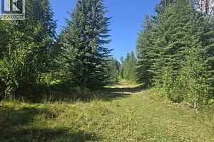 3680 Miller Lake FSR Forest - Photo 22