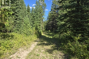 3680 Miller Lake FSR Forest - Photo 23