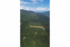 3680 Miller Lake FSR Forest - Photo 24