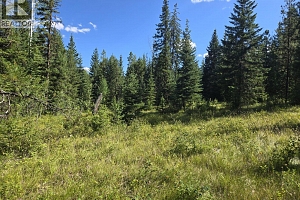 3680 Miller Lake FSR Forest - Photo 25