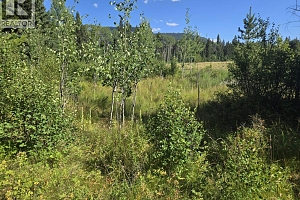 3680 Miller Lake FSR Forest - Photo 27