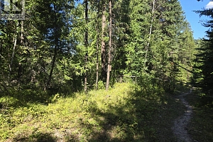 3680 Miller Lake FSR Forest - Photo 27