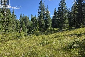 3680 Miller Lake FSR Forest - Photo 3