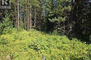 3680 Miller Lake FSR Forest - Photo 5