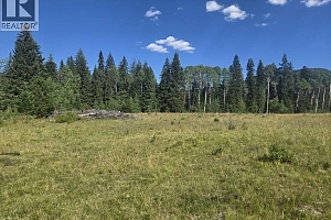 3680 Miller Lake FSR Forest - Photo 6