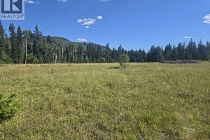 3680 Miller Lake FSR Forest - Photo 7