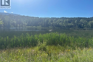 3680 Miller Lake FSR Forest - Photo 8