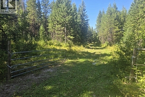 3680 Miller Lake FSR Forest - Photo 9