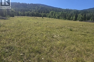 3680 Miller Lake FSR Forest - Photo 9