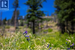 6090 Highway 33 - Photo 17