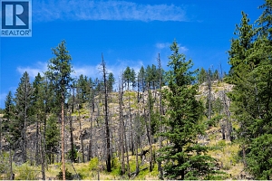 6090 Highway 33 - Photo 20