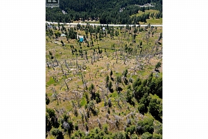 6090 Highway 33 - Photo 34