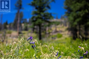 6090 Highway 33 - Photo 35
