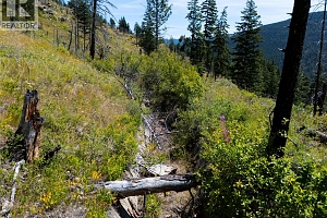 6090 Highway 33 - Photo 39