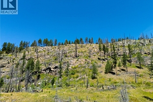 6090 Highway 33 - Photo 41