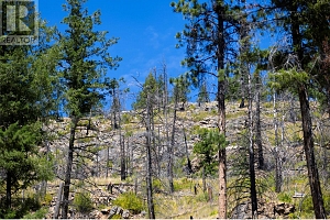6090 Highway 33 - Photo 46