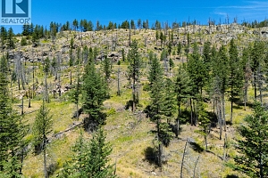 6090 Highway 33 - Photo 48