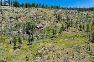 6090 Highway 33 - Photo 49