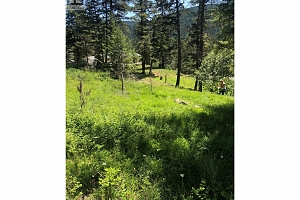 6090 Highway 33 - Photo 52