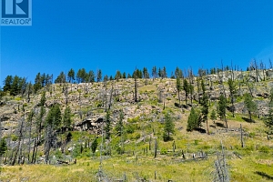 6090 Highway 33 - Photo 60