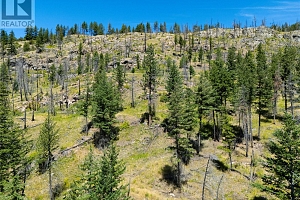 6090 Highway 33 - Photo 68