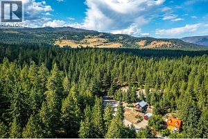 322 Northern View Drive - Photo 41