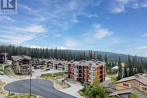 5085 Snowbird Way Unit# 101 - Photo 33